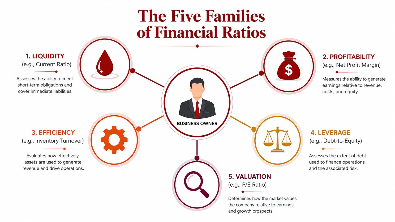 An infographic titled The Five Families of Financial Ratios showing liquidity, profitability, efficiency, leverage, and valuation.